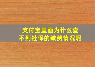 支付宝里面为什么查不到社保的缴费情况呢