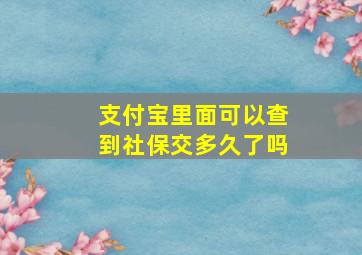 支付宝里面可以查到社保交多久了吗