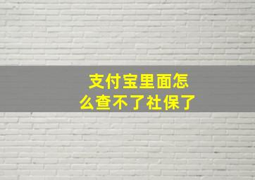 支付宝里面怎么查不了社保了