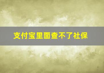 支付宝里面查不了社保