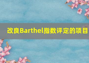 改良Barthel指数评定的项目