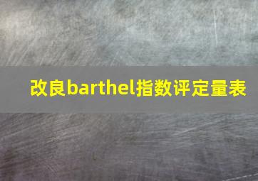 改良barthel指数评定量表