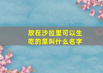 放在沙拉里可以生吃的菜叫什么名字