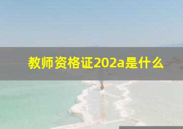 教师资格证202a是什么