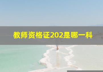 教师资格证202是哪一科