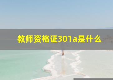 教师资格证301a是什么