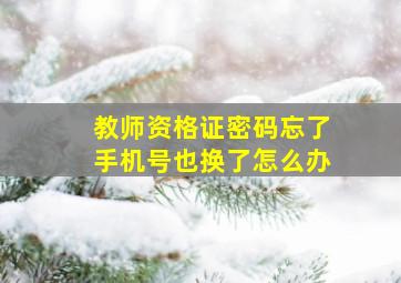 教师资格证密码忘了手机号也换了怎么办