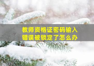 教师资格证密码输入错误被锁定了怎么办