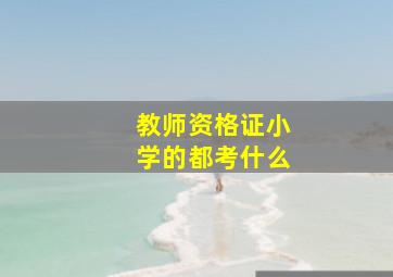 教师资格证小学的都考什么