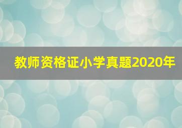 教师资格证小学真题2020年