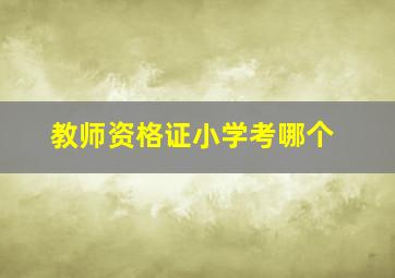 教师资格证小学考哪个