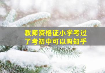 教师资格证小学考过了考初中可以吗知乎