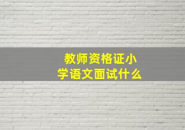 教师资格证小学语文面试什么