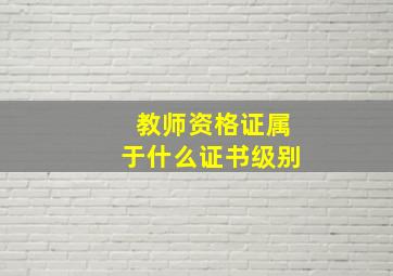 教师资格证属于什么证书级别