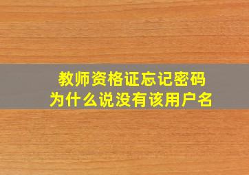 教师资格证忘记密码为什么说没有该用户名