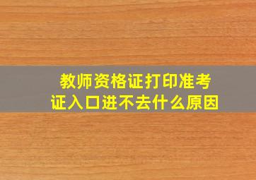 教师资格证打印准考证入口进不去什么原因