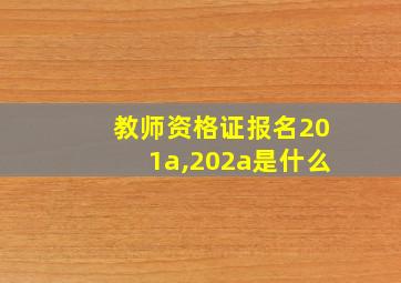 教师资格证报名201a,202a是什么