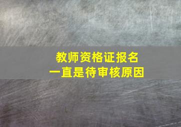 教师资格证报名一直是待审核原因