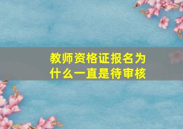 教师资格证报名为什么一直是待审核