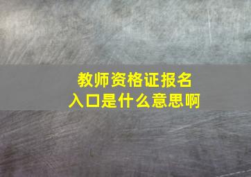 教师资格证报名入口是什么意思啊