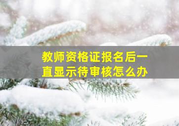 教师资格证报名后一直显示待审核怎么办