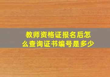 教师资格证报名后怎么查询证书编号是多少