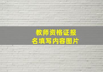 教师资格证报名填写内容图片