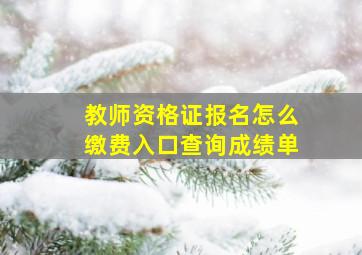 教师资格证报名怎么缴费入口查询成绩单