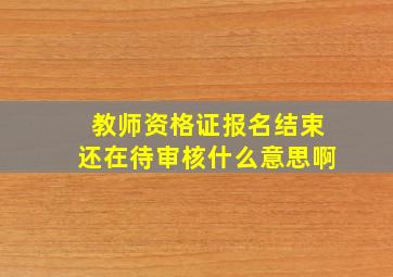 教师资格证报名结束还在待审核什么意思啊