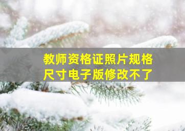 教师资格证照片规格尺寸电子版修改不了