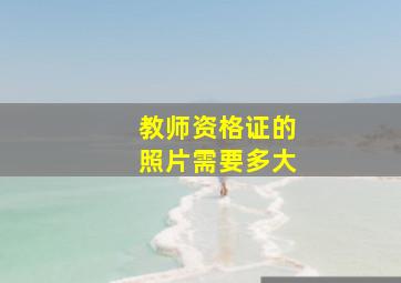 教师资格证的照片需要多大