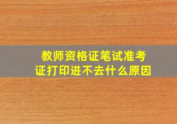 教师资格证笔试准考证打印进不去什么原因