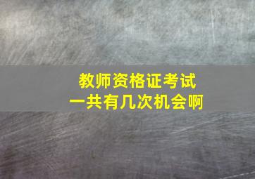 教师资格证考试一共有几次机会啊