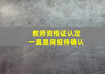 教师资格证认定一直是网报待确认