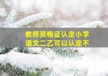 教师资格证认定小学语文二乙可以认定不