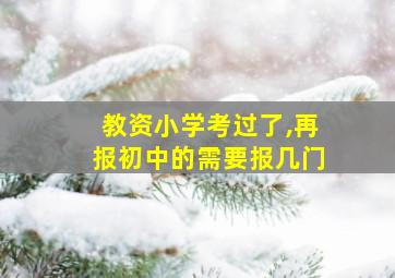 教资小学考过了,再报初中的需要报几门