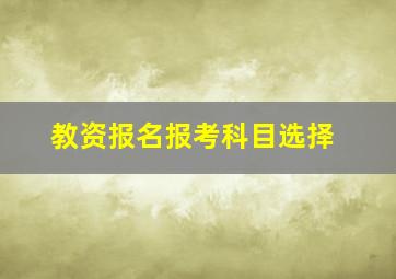 教资报名报考科目选择