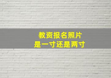 教资报名照片是一寸还是两寸