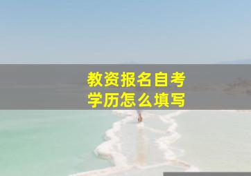 教资报名自考学历怎么填写