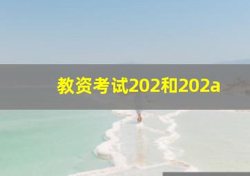 教资考试202和202a