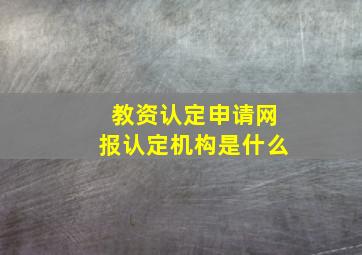 教资认定申请网报认定机构是什么