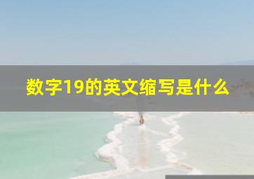 数字19的英文缩写是什么