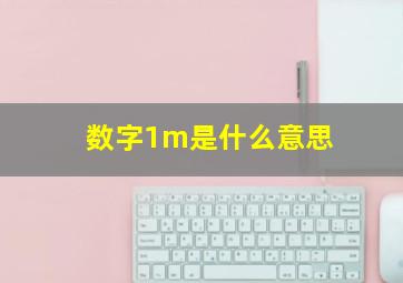 数字1m是什么意思