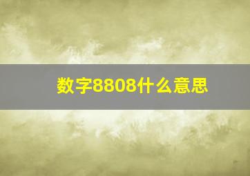 数字8808什么意思