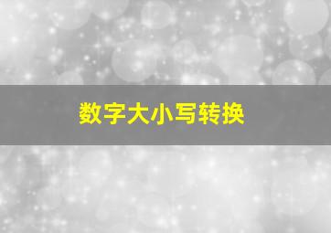 数字大小写转换