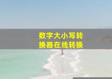 数字大小写转换器在线转换