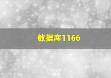 数据库1166