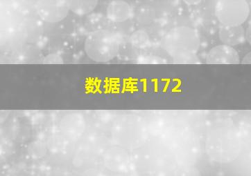 数据库1172