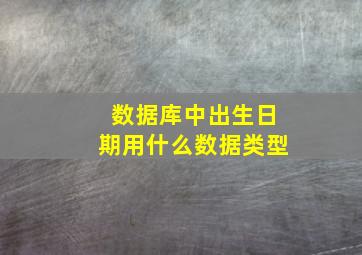 数据库中出生日期用什么数据类型