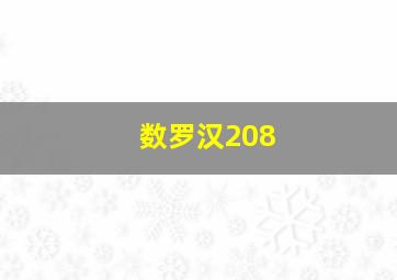 数罗汉208